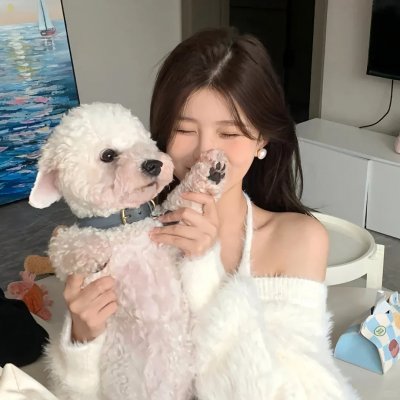 节日的准备 海报
